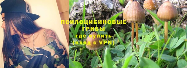 дурь Володарск