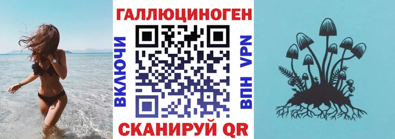 продажа наркотиков  Кимры  Псилоцибиновые грибы Cubensis 